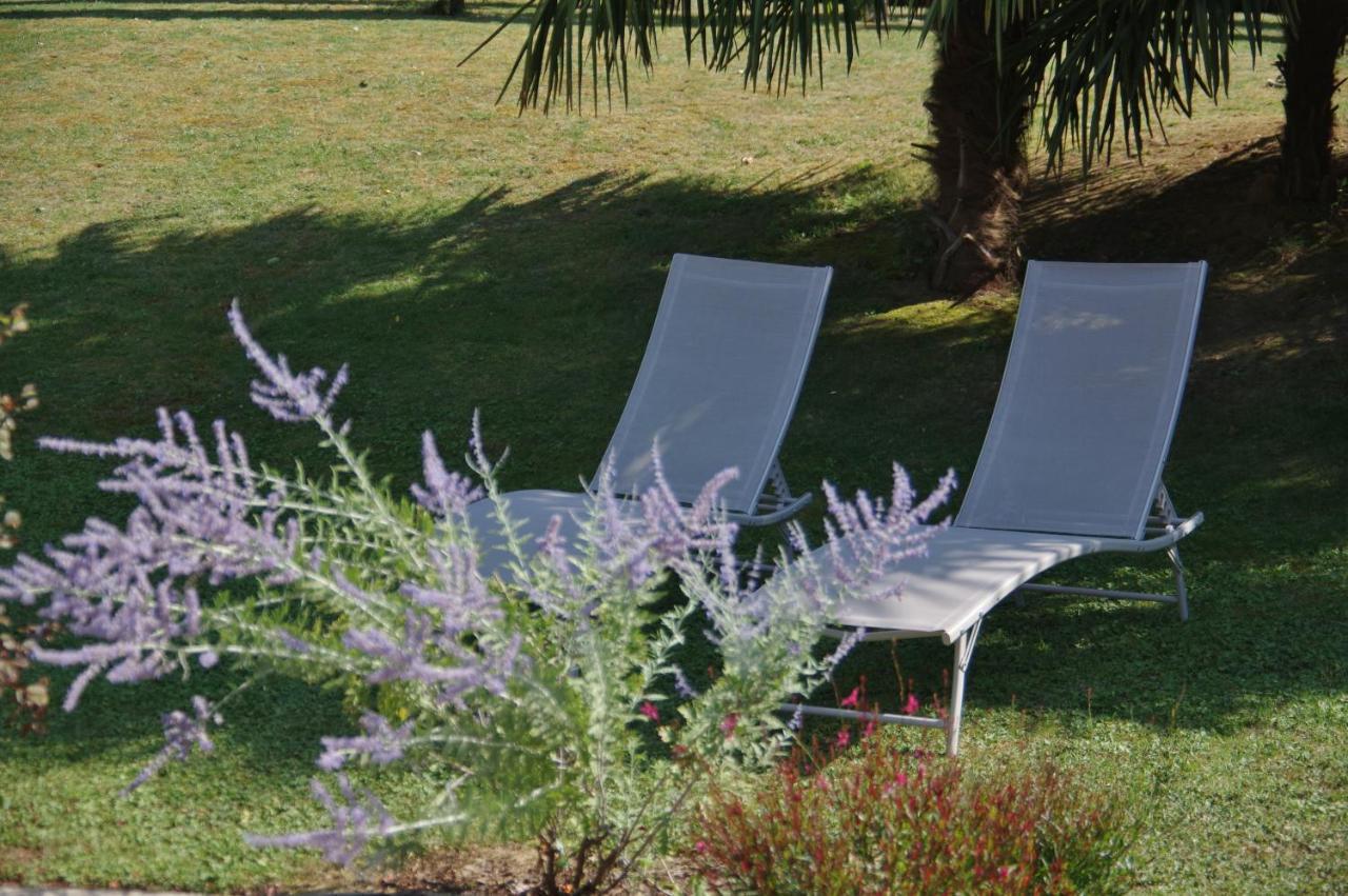 La Lilas Des Fargues Maison D'Hotes Albi Exterior photo